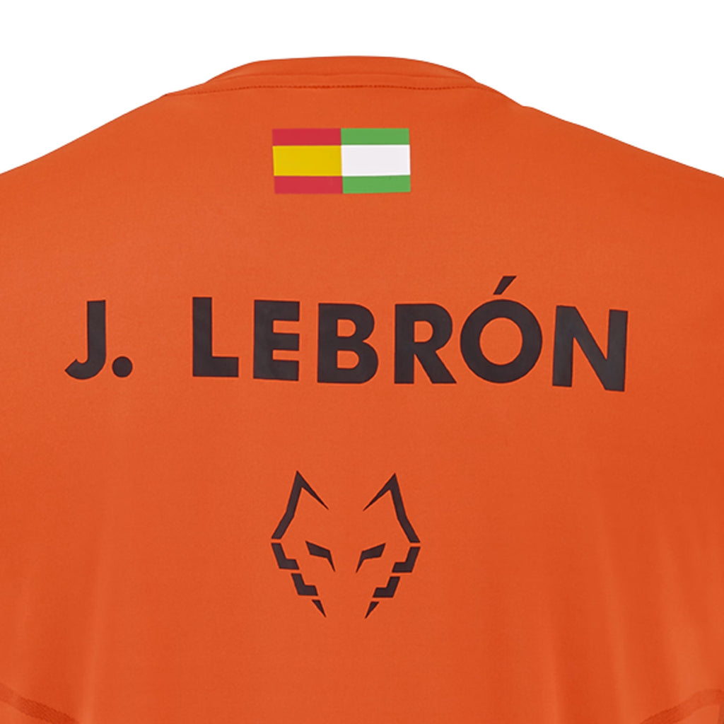 Juan Lebron Replica Tshirt Orange